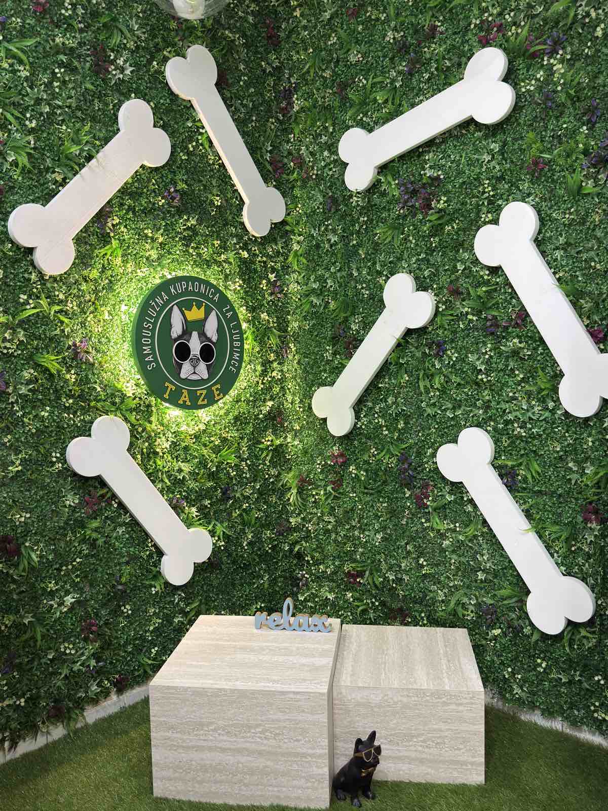 Labrador being dried with professional pet dryer