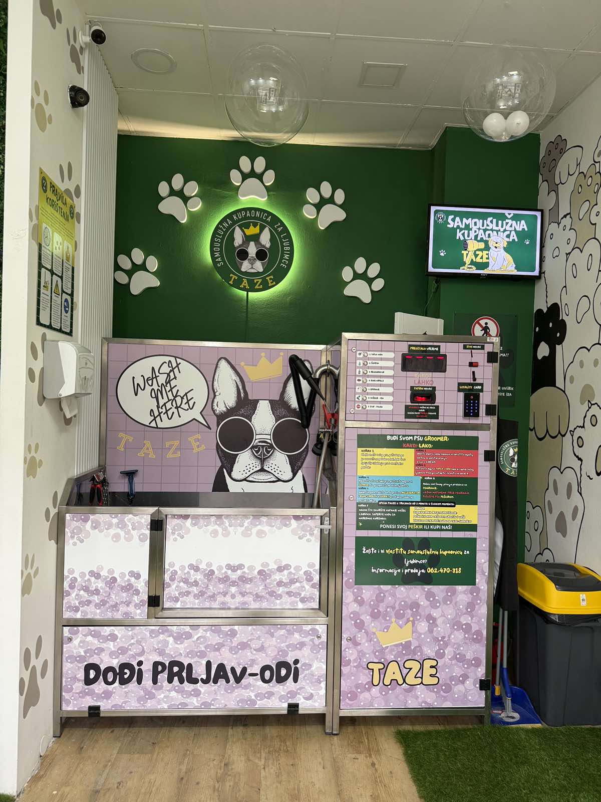 German shepherd getting rinsed