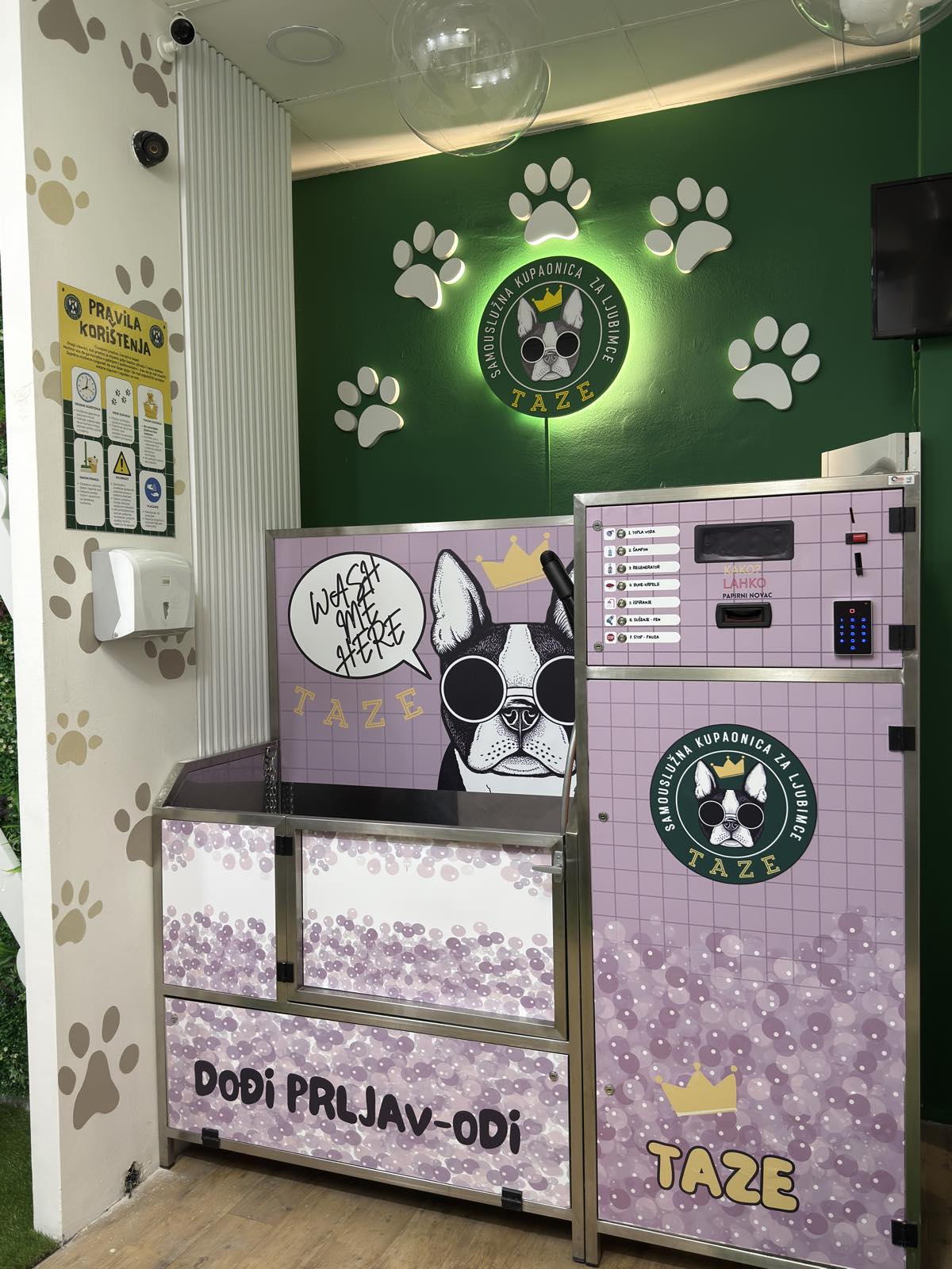 Clean and dry husky after bath