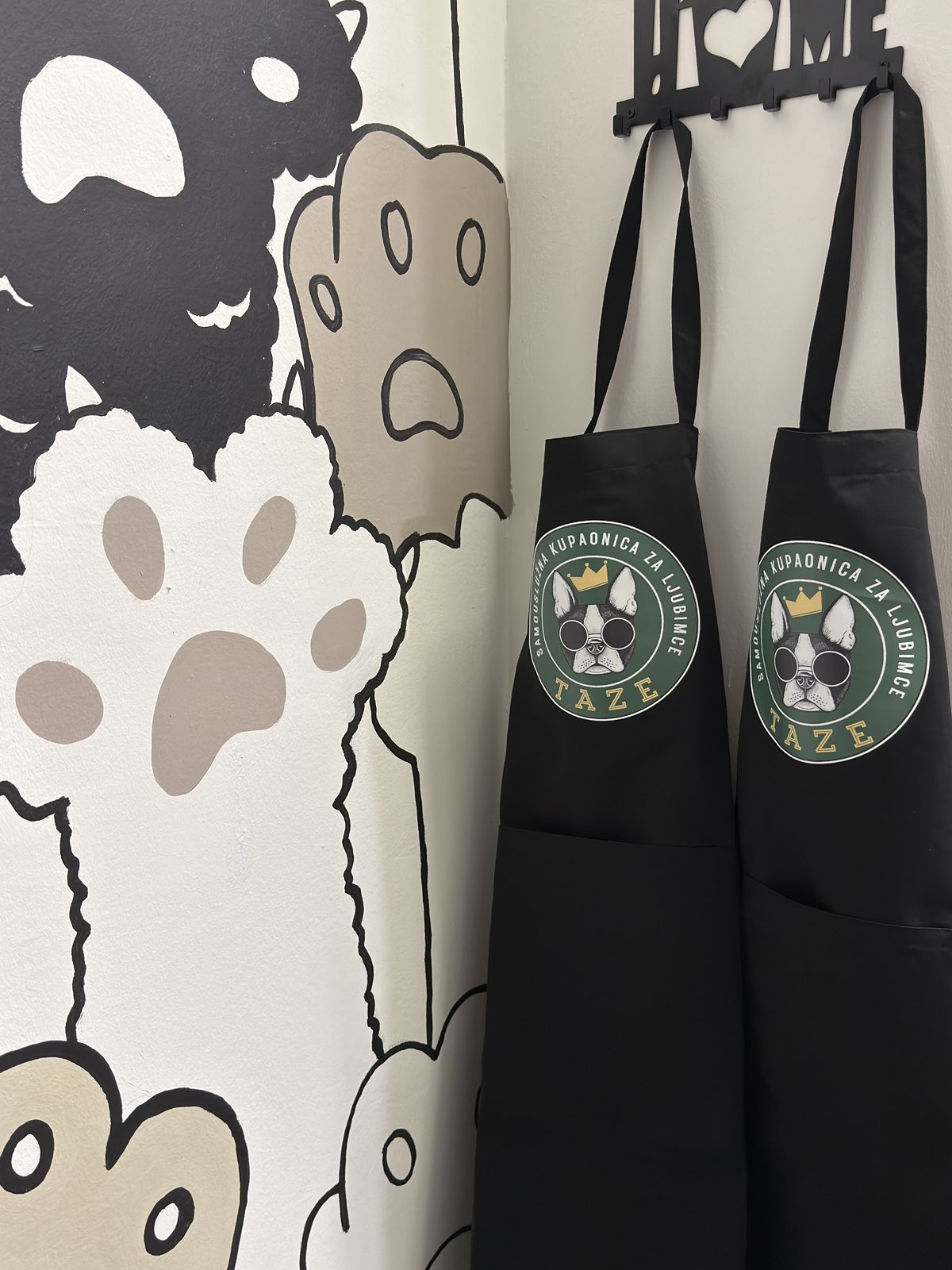 Border collie being shampooed