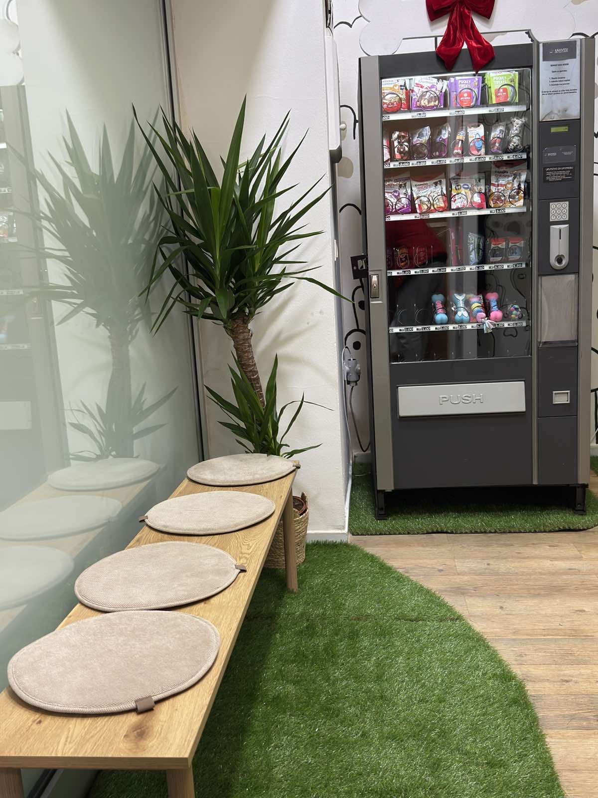 German shepherd getting rinsed