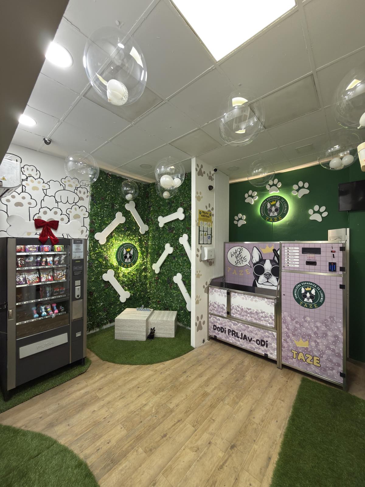 German shepherd getting rinsed