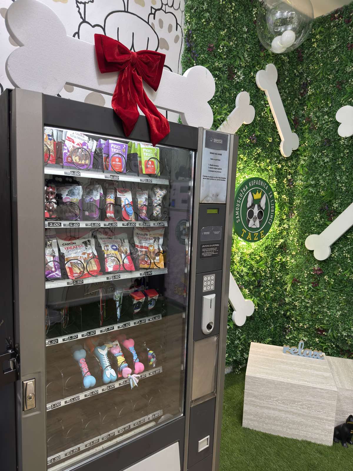 German shepherd getting rinsed