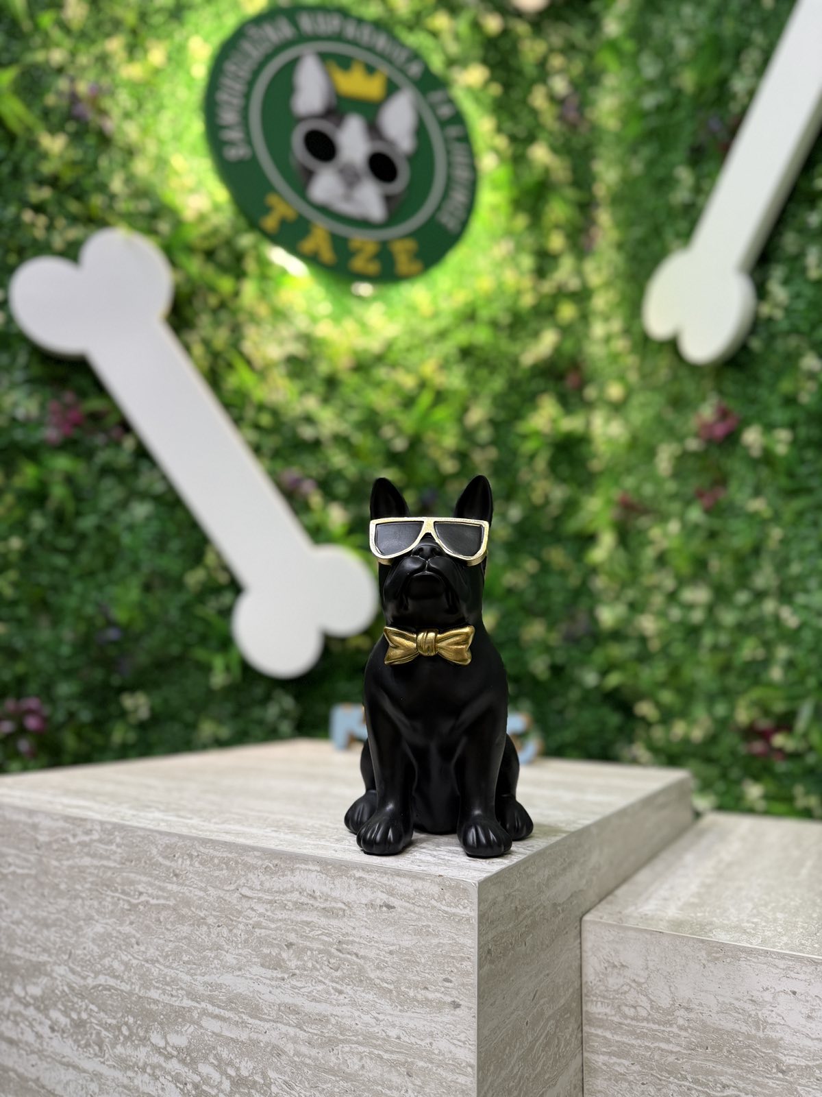 German shepherd getting rinsed