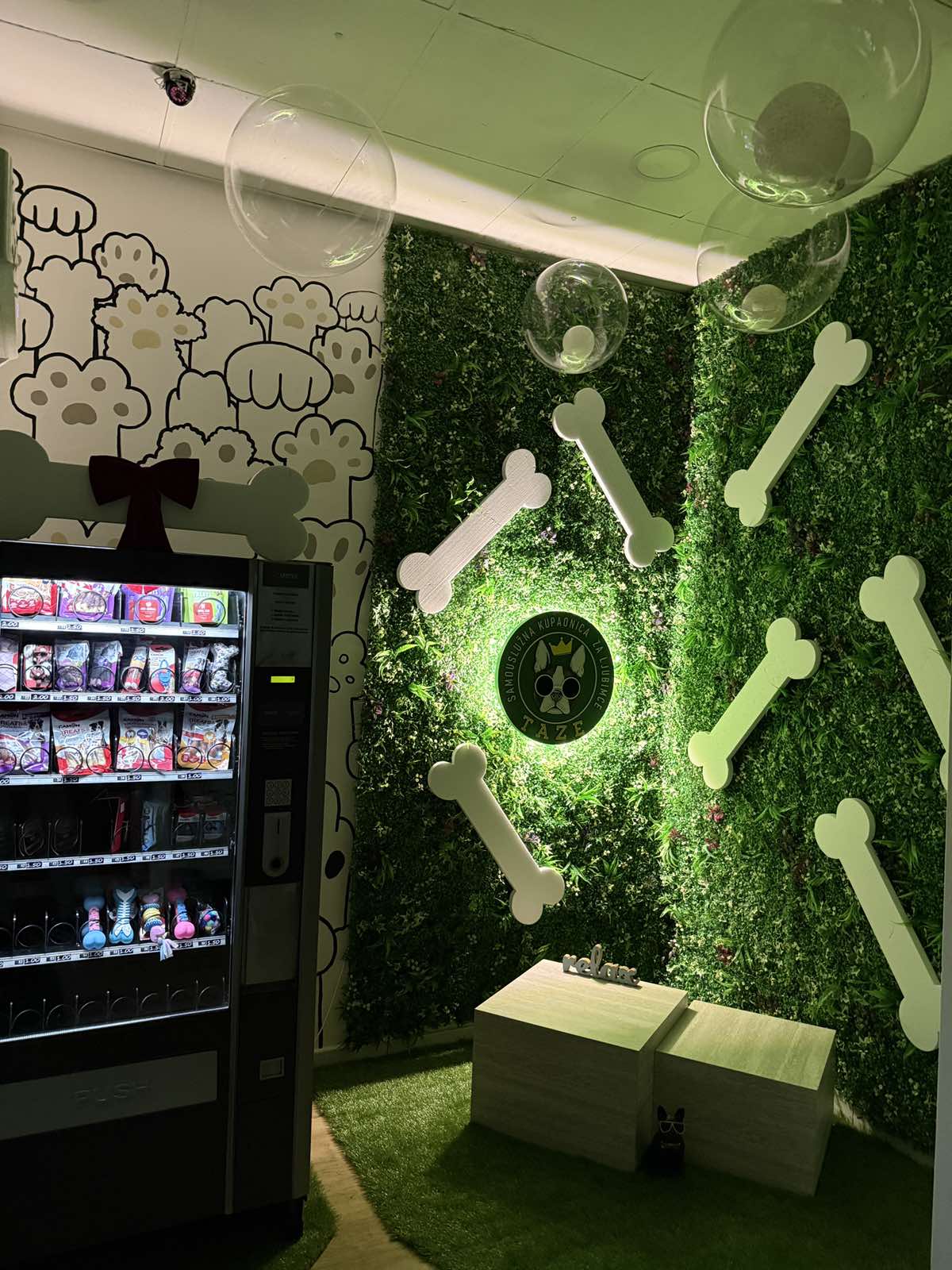 German shepherd getting rinsed